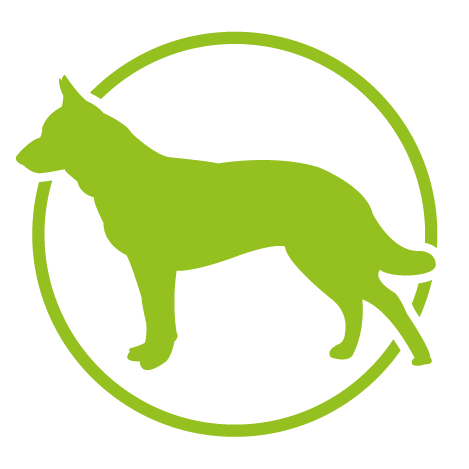 For Dogs